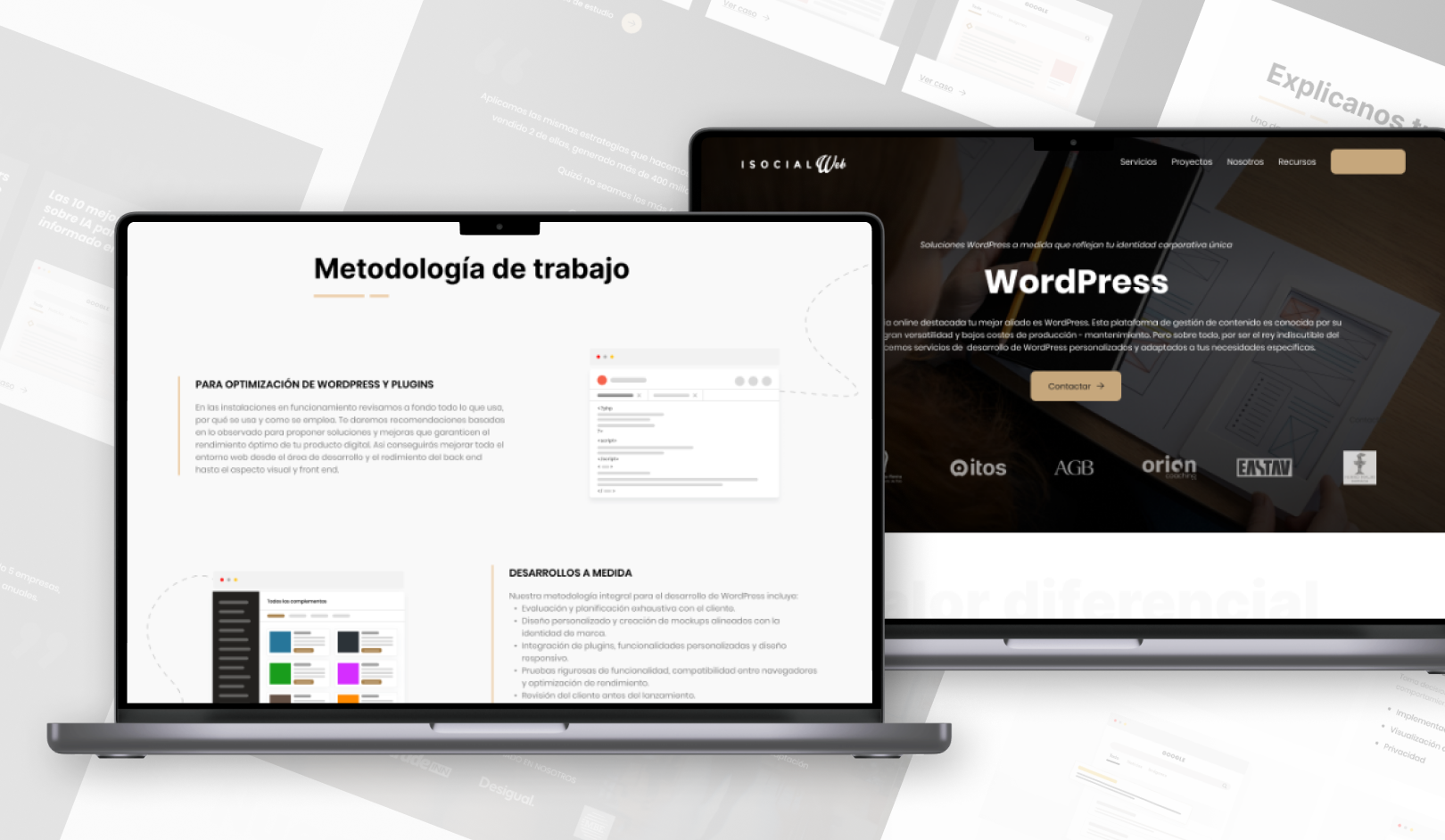 cartedo-4